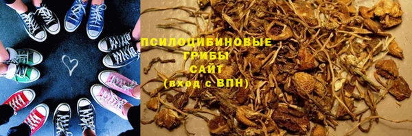 PSILOCYBIN Переславль-Залесский