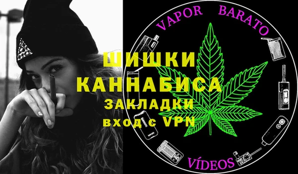 сатива Пересвет