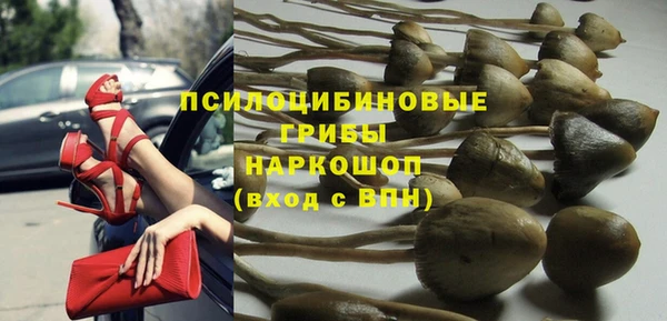 PSILOCYBIN Переславль-Залесский