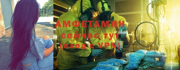 сатива Пересвет