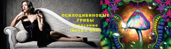 Альфа ПВП Пестово