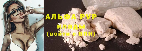 PSILOCYBIN Переславль-Залесский